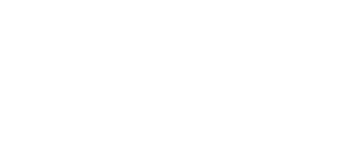 Skin Stylus Logo
